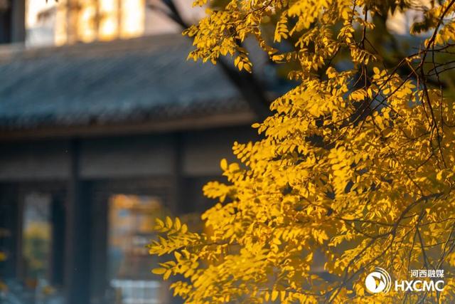 秋洒落的地方 藏着温柔与力量