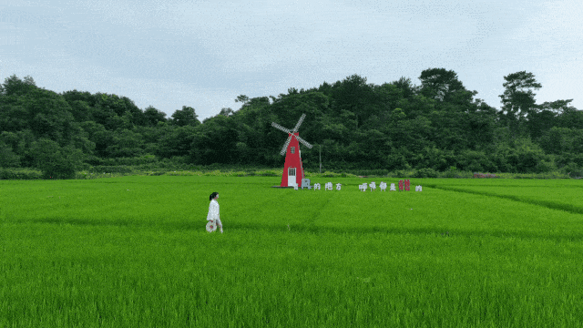 槐塘古村见证爱情！歙县户外颁证基地浪漫来袭