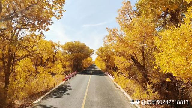 最美的风景在远方，走出去欣赏一下吧兄弟