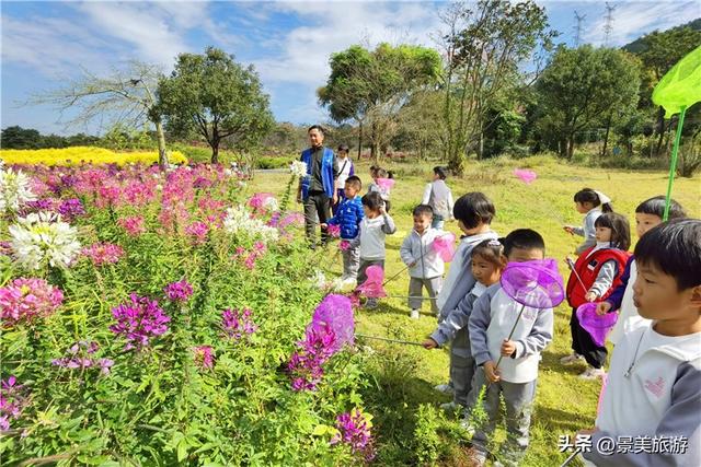 岭南冬如春，童趣蝶翩跹，学子来到佛山卡玛花世界开启蝴蝶研学