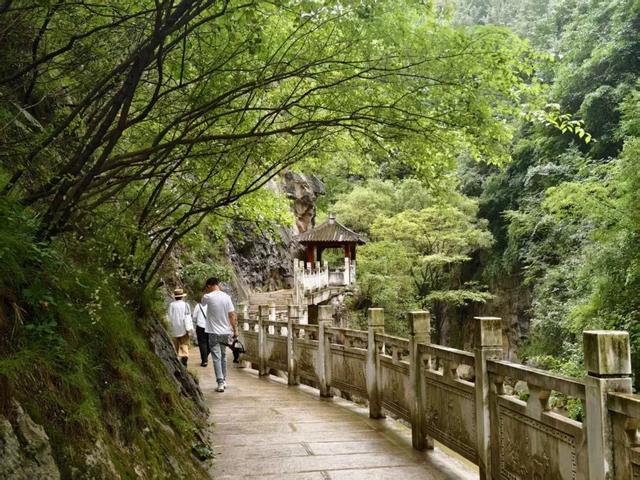 西狭秋韵：石刻无言，却与幽风诉千年