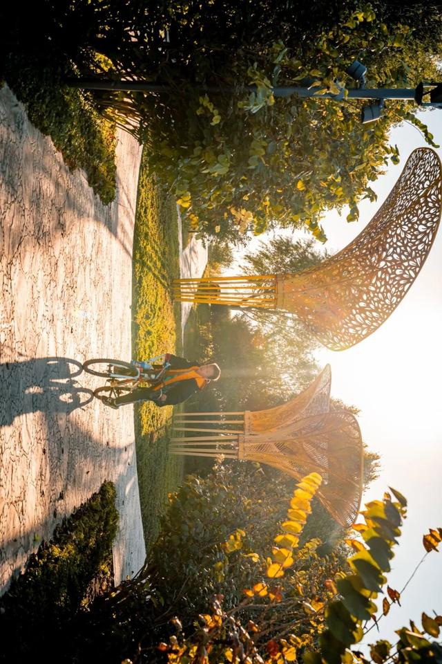 生态城的秋天，已经美得不像样了