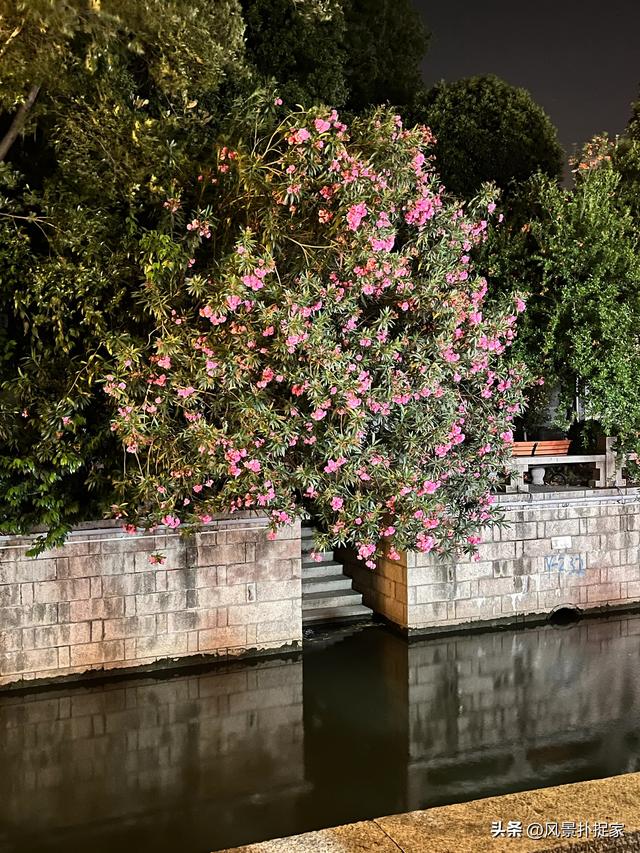 苏州平江路，拍旗袍的好地方！