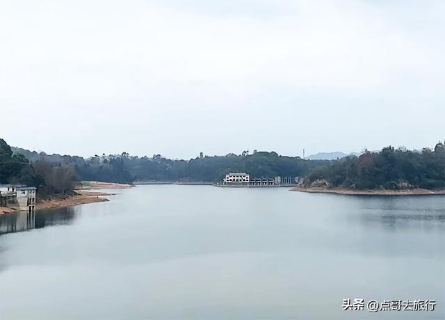 成都山地红梅开花了，粉红云霞铺天盖地，非常震撼，免费！