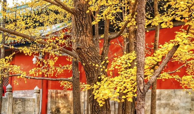 北京这几个小众赏秋地，让你私享整个秋天！