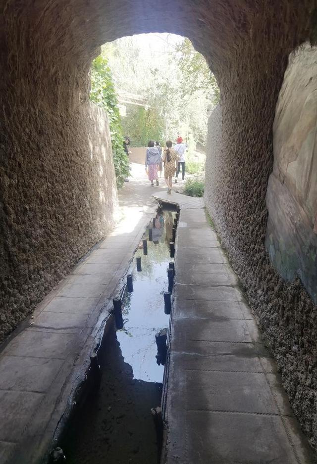 游新疆吐鲁番的坎儿井和葡萄沟