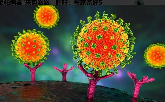 “尼帕病毒	”来势汹汹	，建议：每家备好5样东西，关键时刻能保命