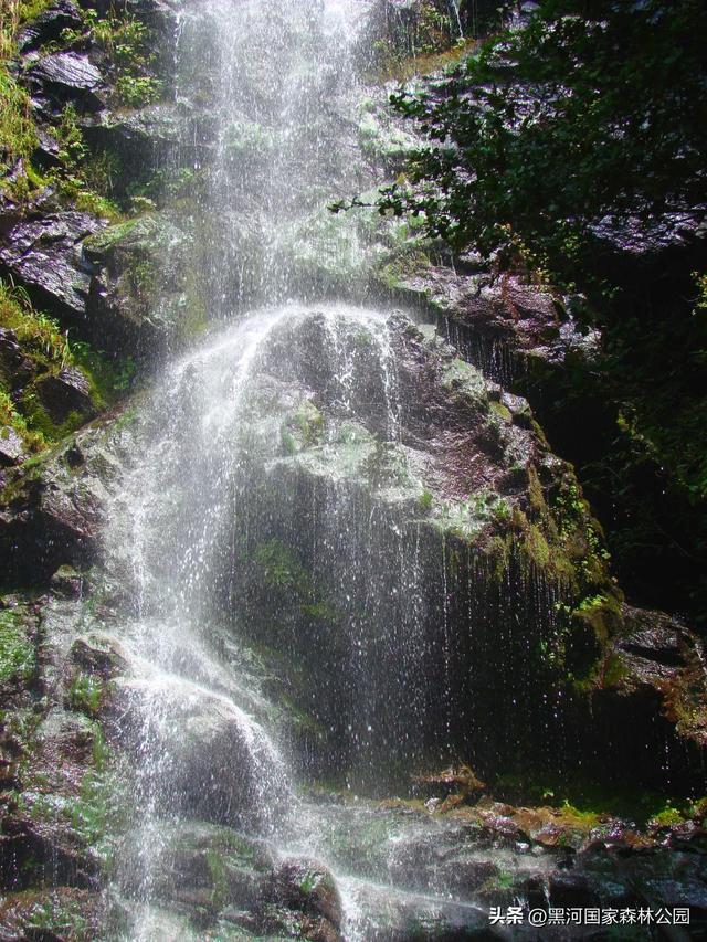西安山美水美的清凉秘境！夏天来黑河避暑旅游太爽了！