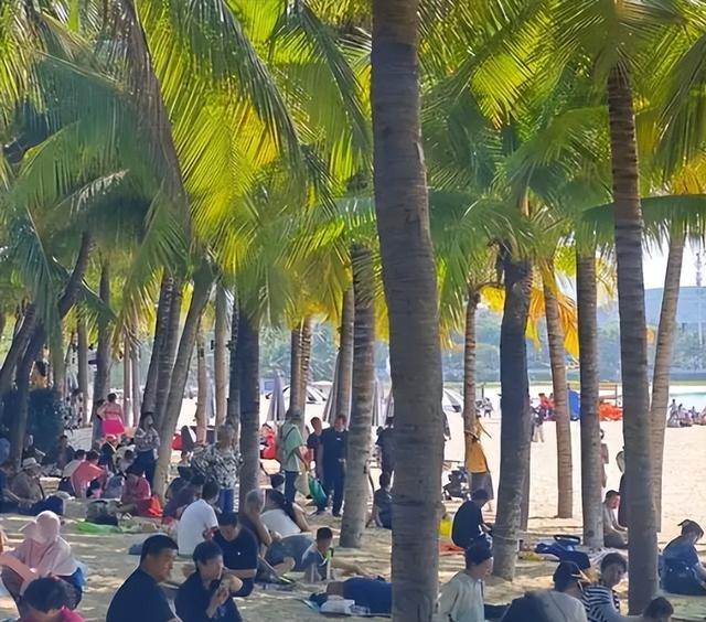 111三亚终究踏上“不归路”，东北人撤离成潮！背后真相是啥？