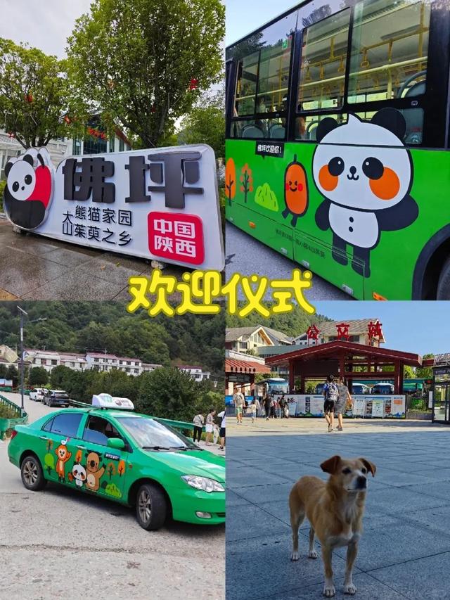 躲进秦岭古村，来佛坪过两天山野慢生活！