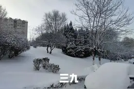 明日三九，建议中老年：少喝牛奶，多吃4样，养足精力欢乐迎新年图片