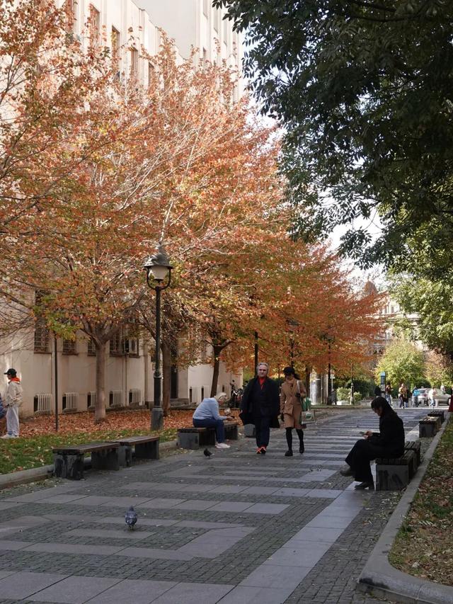 塞尔维亚，一座被轰炸过78天的城市的新生，贝尔格莱德一日游记