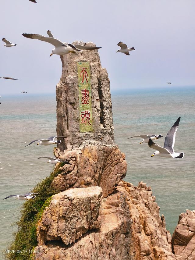 成山头观海