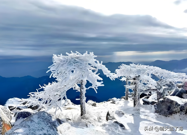 为何不建议走野路？探秘秦岭之巅冰晶顶——风险远超想象!