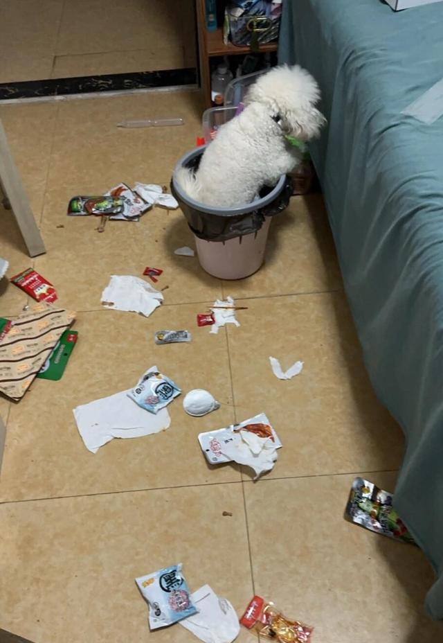 “客厅5不放，人顺家兴旺”，客厅不要放这5样东西，日子会过不顺