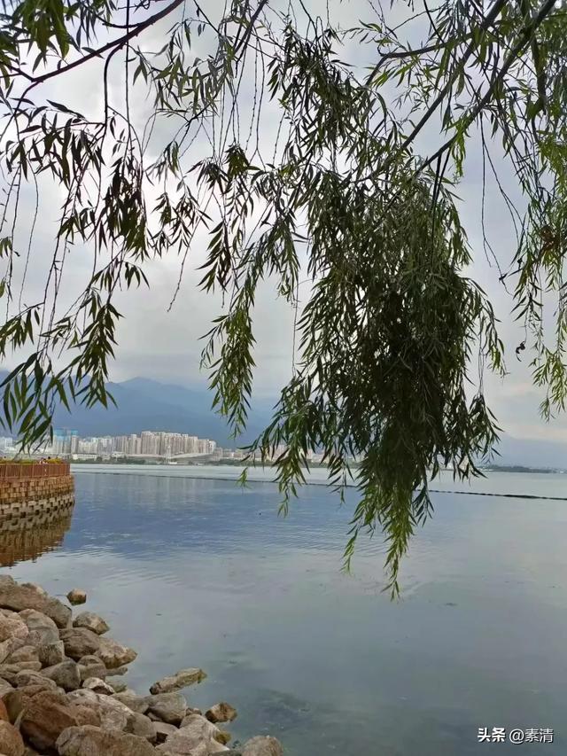 逃离“班味”,邂逅旅行中的本心鱼能量