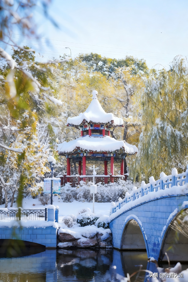 大连初雪不过瘾？来看看尽兴版本！