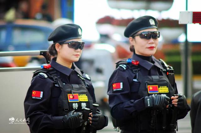 【图看黄金大道】金色长廊映秦州，天水“黄金大道”引客来！