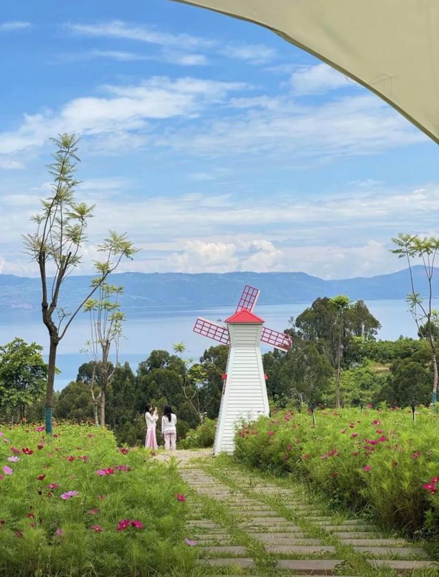 抚海花屿,撞入燃爆了的绣球花海