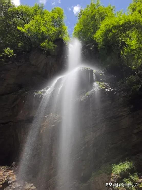 宕·寻22°的夏天！甘肃宕昌：药乡山水调出清凉康养“大处方”