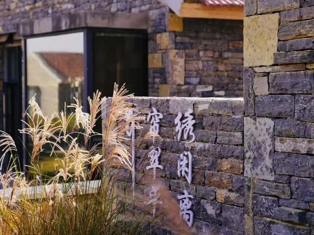 跟着色彩游临沂 | 柿子熟了・田园采摘之旅，承包你的秋日快乐