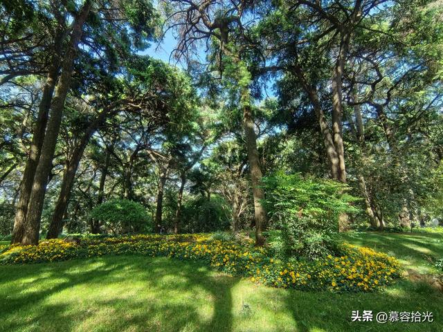 当铜殿被一只松鼠赋予轻盈