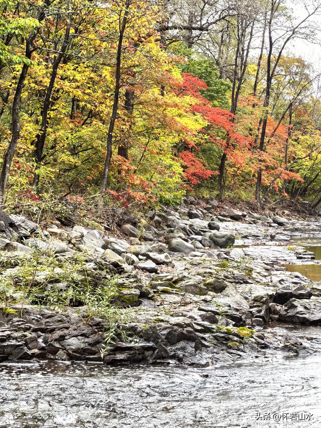 2025辽宁赏秋之旅日记(2)——游览丹东蒲石河森林公园