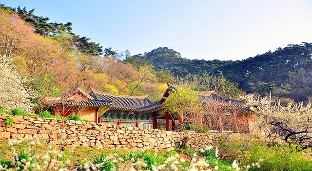 一江之隔带你观看不一样的朝鲜-历史遗迹心源寺