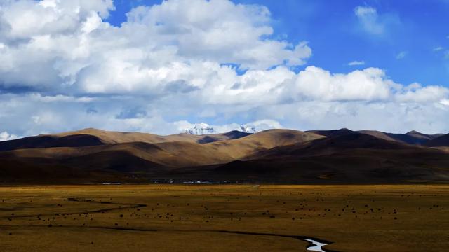 【辉煌60年·新时代西藏答卷】哲古草原：与藏野驴的秋日私语