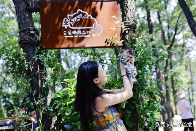 5A级景区重磅官宣：临沂、济南市民免费！