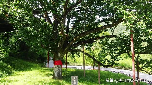 身体和心灵总有一个在路上 | 这个秋天，一起观赏黑河的山川湖海