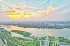 沭河湿地美如画图片