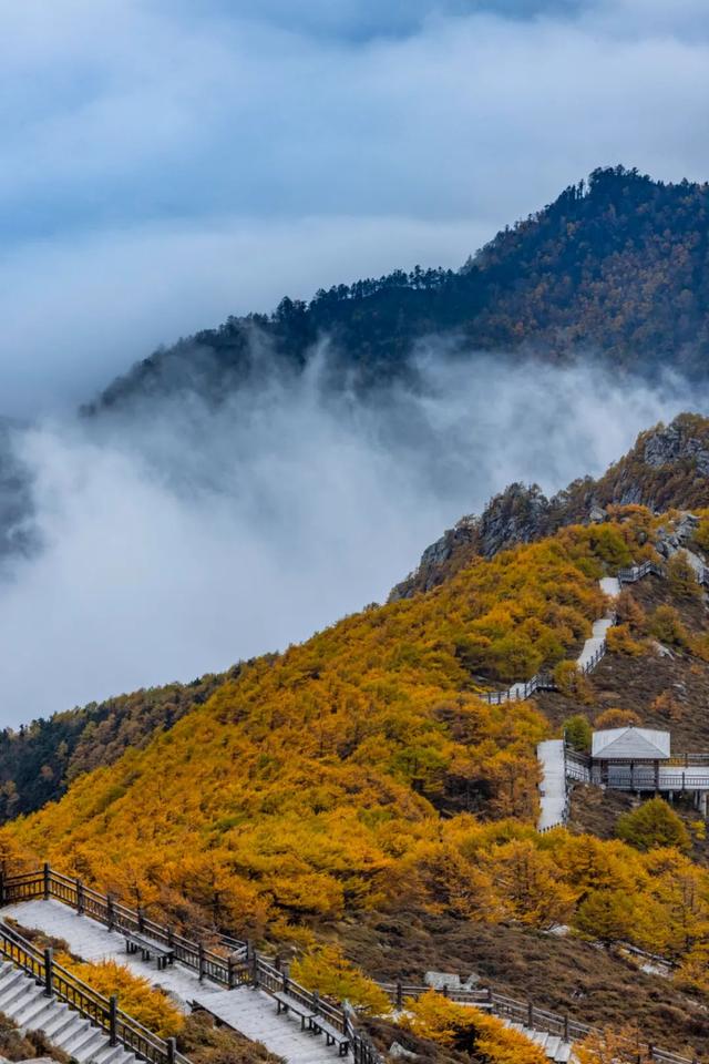 11月秋色天花板！秦岭精华秋色就锁死这7条省道，一个月都玩不完