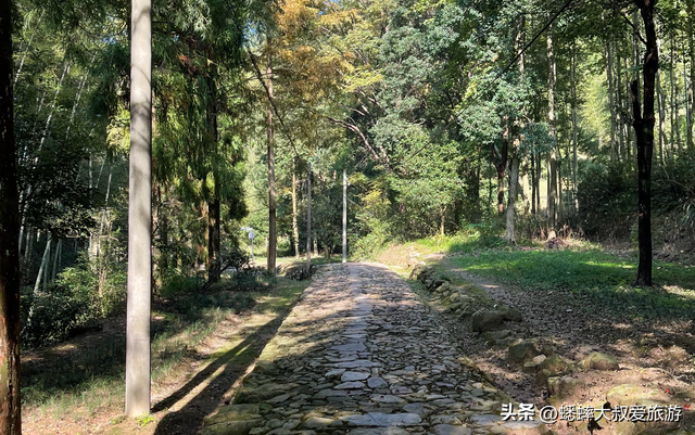 来徒步浙江“古道高速路”吧，限时免费畅玩，一趟直接跨越千年！
