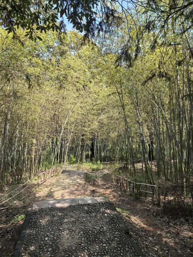 奔向炼丹炉：山上有了炼丹炉，爬山就有了奔头