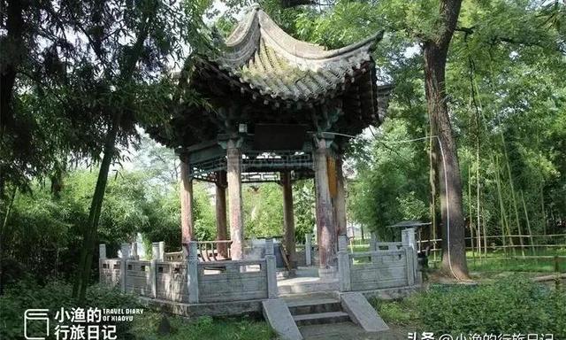 超越千年的宁静：草堂寺的秘密与开放机会