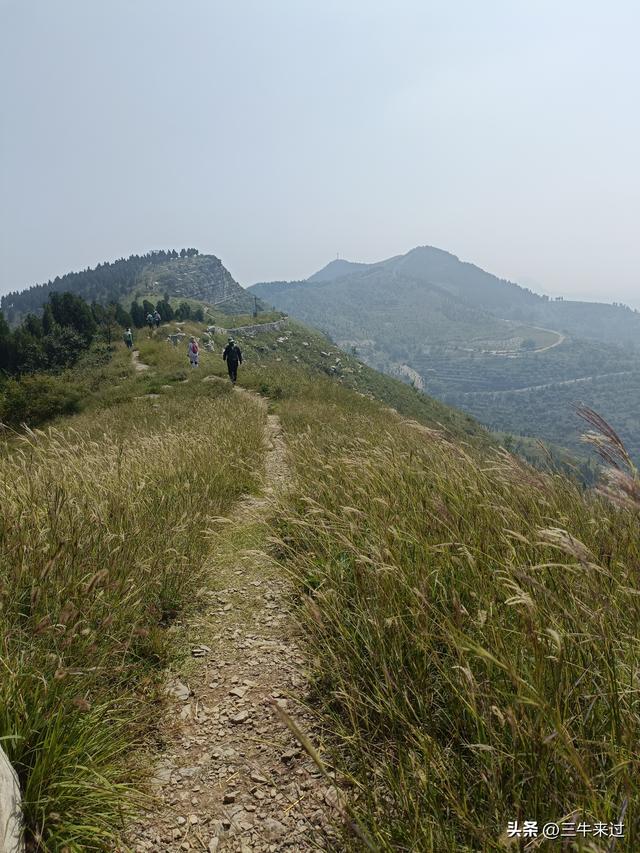 无为在歧路，2025之经行