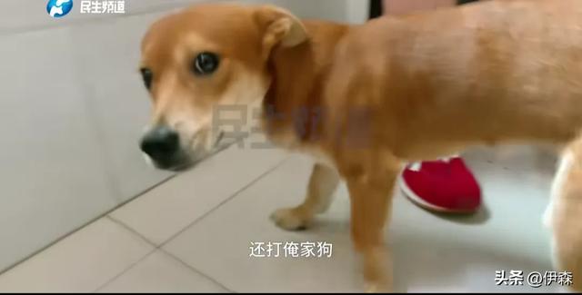 女孩内裤被男子偷光 女孩：把内裤钱还给我 可贵了一二百 已报警