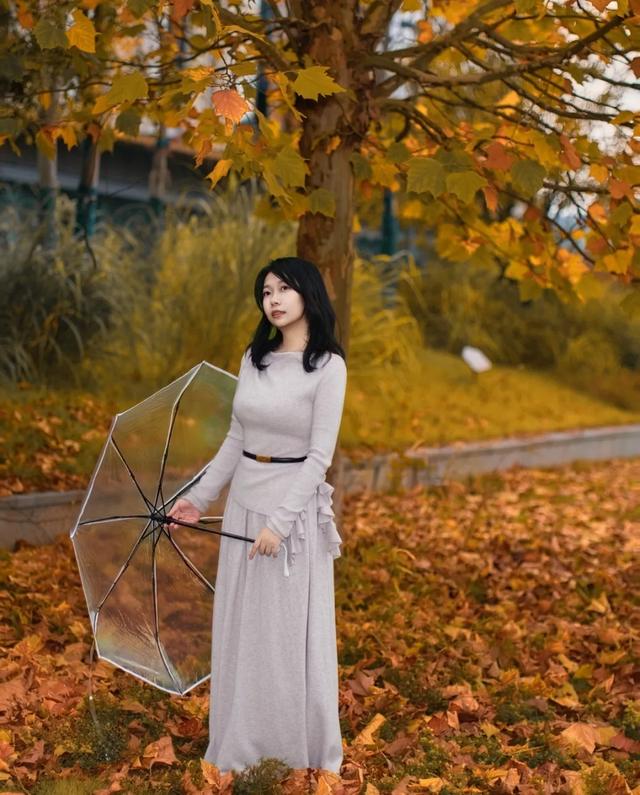 不用去南京,醴陵有属于自己的梧桐大道