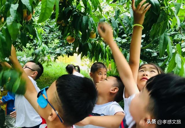 免票！半价！孝感国庆中秋假期福利来了~~