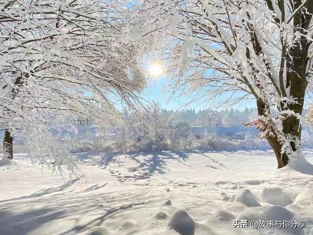 今冬最冷时段锁定！2026年春节冷暖早知晓，这份节气科普请收好