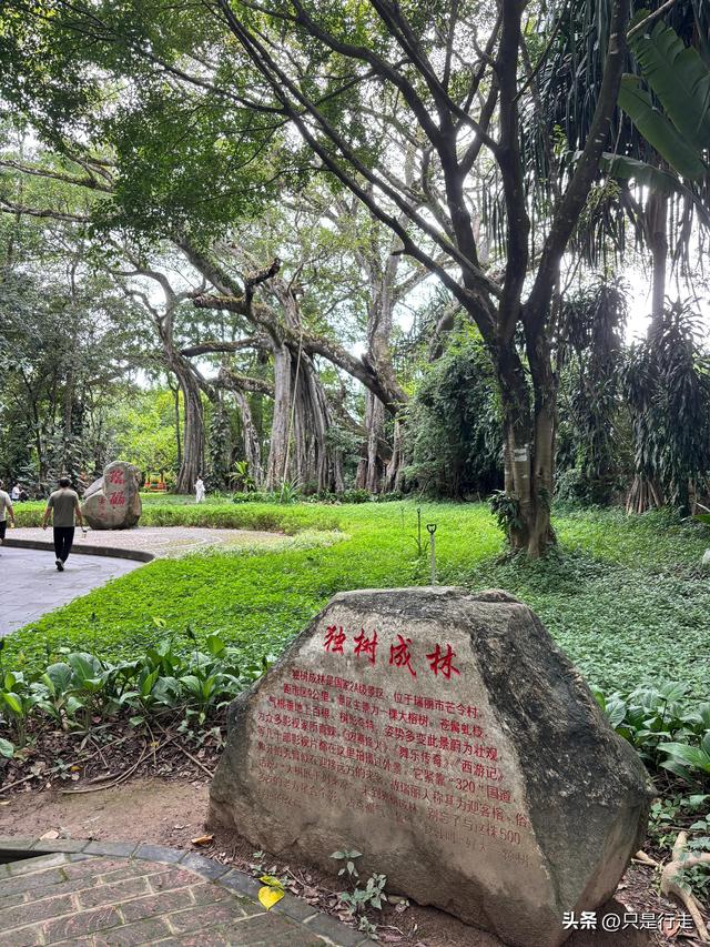云南弥勒避暑旅游生活记录（三）瑞丽