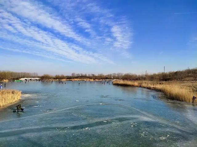 宣化瓦窑头水库芦苇成片，水天一色值得观看