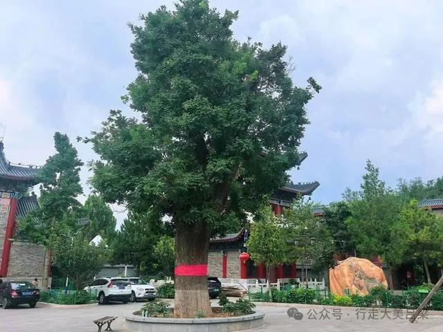 【解德辉：“行走吕梁域外”游记226】盂秋访古刹 北站遇禅音