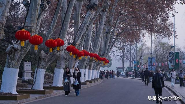每日一景|冬日玄武湖景色