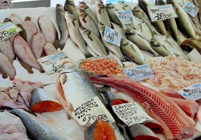 日本大闹联合国，想废掉中国出兵权！特朗普一招，把高市逼上绝路