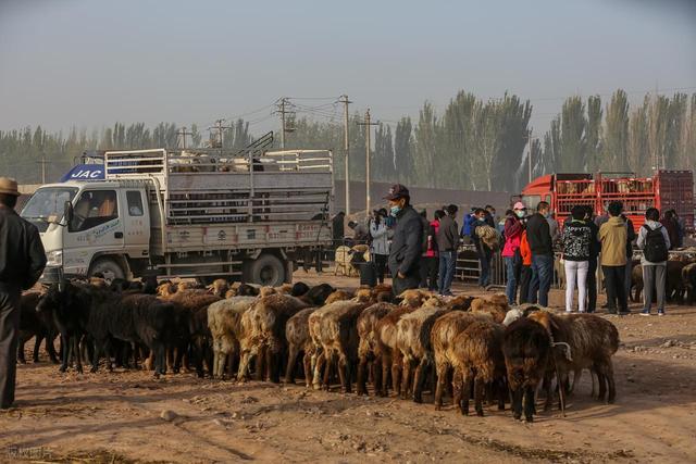 从湖南去了一趟喀什，实话实说，回来才发现朋友圈都是骗人的？