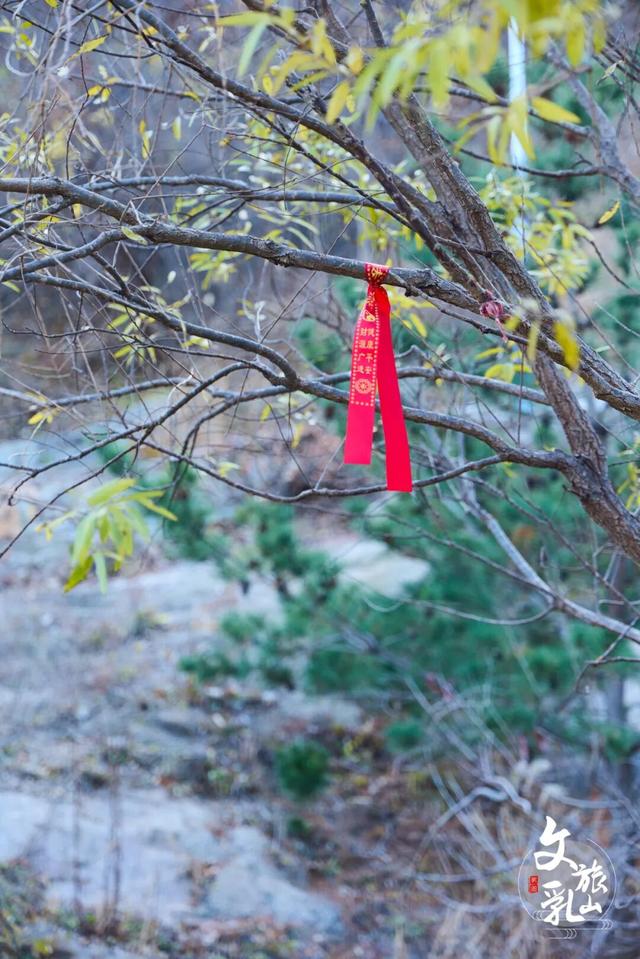 「冬游乳山」暖阳裹肩、泉声伴耳，冷风里偷得半日慢时光