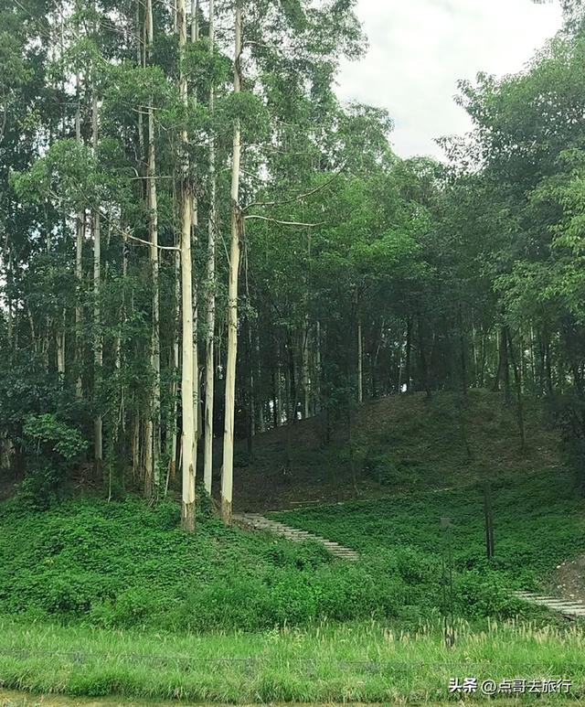 成都超级冷门公园，被称为“小西湖”，不要门票，地铁公交直达！