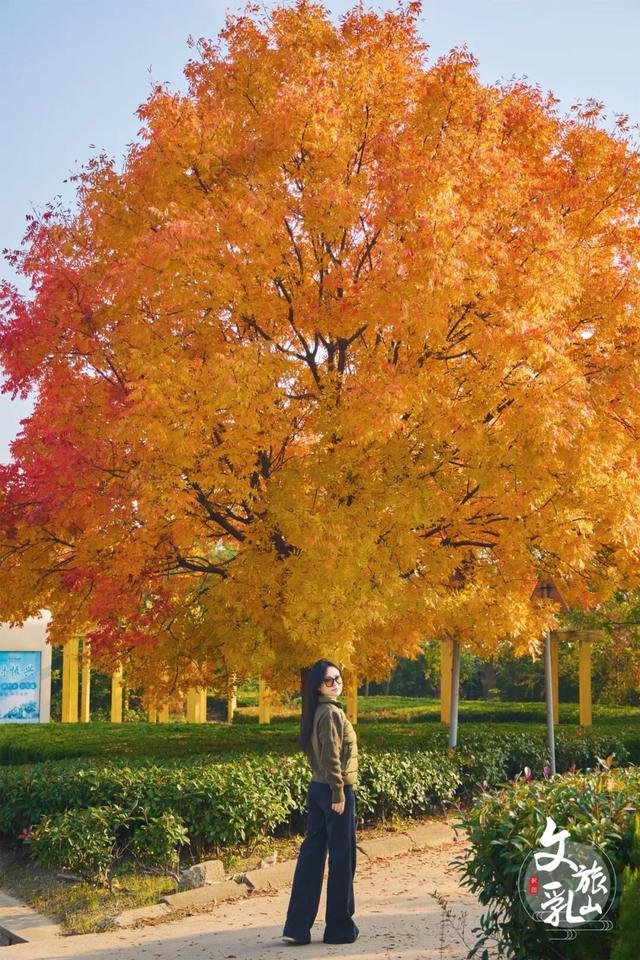 当秋风吻过乳山：一场关于色彩与治愈的漫步指南